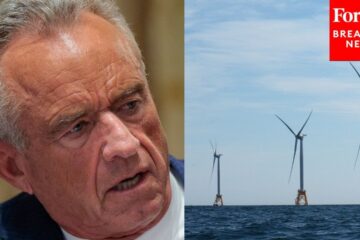 Health Sec. RFK Jr.: Wind Farms Are ‘Wiping Out The Whale Population’ And Hurting Fisheries