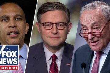 Mike Johnson: There is only ONE reason the Dems are doing this