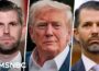 ‘We’ve never seen anything like this’: Trump family amasses  billion in crypto