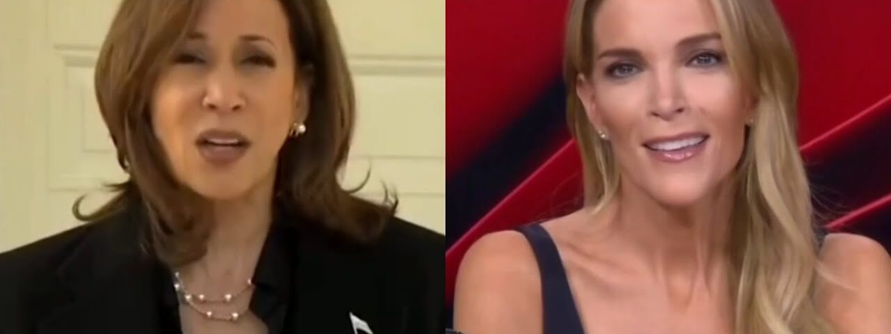 ‘Laughable’: Megyn Kelly blasts Democrats for backtracking on Trump-Hitler comparisons