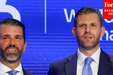 This Is How Markets View Trump Family Crypto After Partner Company Sees 74% Drop: Reporter