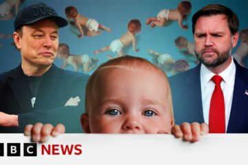 Why do Musk and Vance want more US babies?