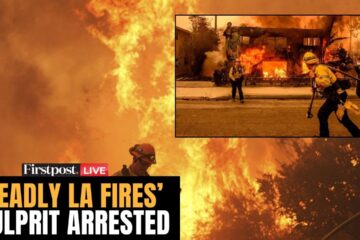 Los Angeles Wildfires LIVE: Culprit Behind Deadly Palisades Fire in Los Angeles Arrested