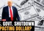 US Govt Shutdown LIVE: How US Shutdown Could Impact Interest Rates, Dollar