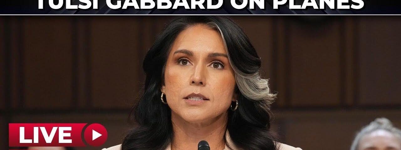 ‘Biden govt paid to spy…’: TSA ‘weaponisation’ against Tulsi Gabbard ‘exposed’ at Senate hearing