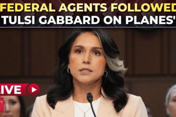 ‘Biden govt paid to spy…’: TSA ‘weaponisation’ against Tulsi Gabbard ‘exposed’ at Senate hearing