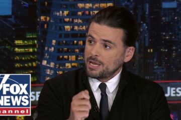 ‘HORRIFYING’ this is how ‘America was repaid’: Winston Marshall on DC attack