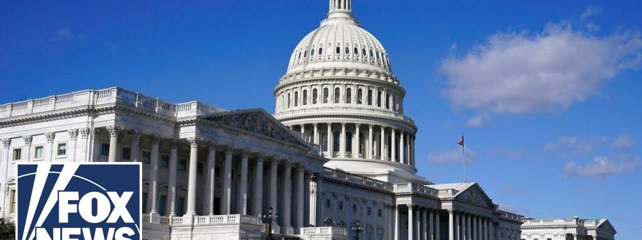 WATCH LIVE: Democrat Party leaders hold presser after landslide election