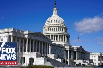 WATCH LIVE: Democrat Party leaders hold presser after landslide election