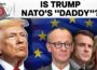 Trump Slams “Decaying” Europe: Ex-German Envoy Reacts | Firstpost PoV | N18G